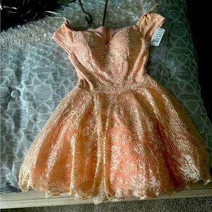 NWT Windsor dress